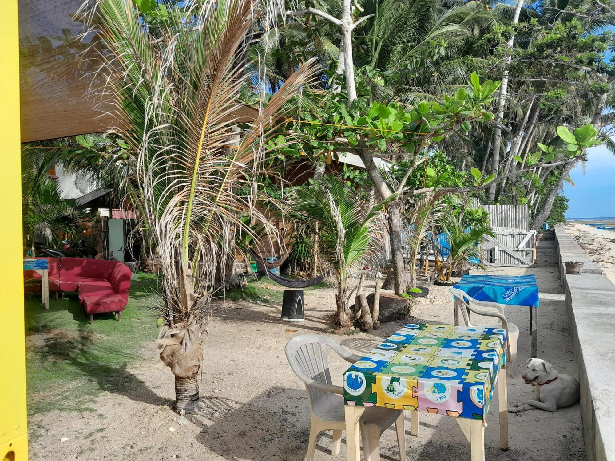Enrico'S Guesthouse ซีคีฮอร์ ภายนอก รูปภาพ